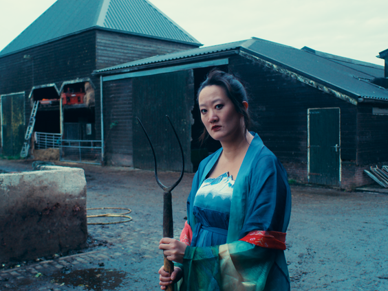 Kelly-Qian van Binsbergen, programmamaker