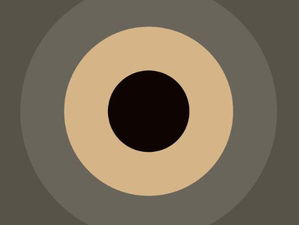 5 visies op Israël-Palestina