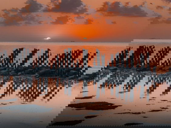 Behoudt de Waddenzee de Werelderfgoedstatus van Unesco?