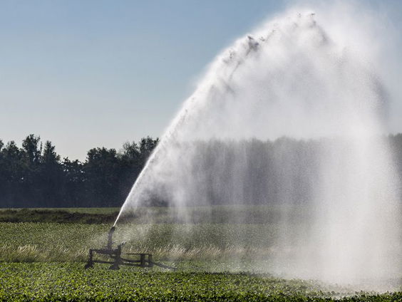 In delen van Noord-Brabant mag niet gesproeid worden