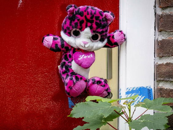 Vlaardingse pleegouders veroordeeld tot 8 jaar cel, geen tbs, lager dan eis