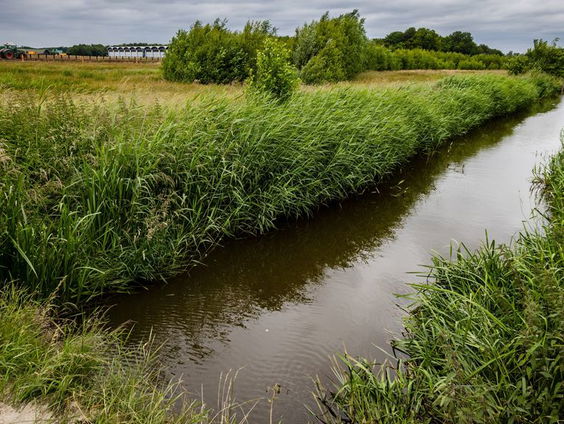 Serieuze twijfels over betrouwbaarheid PFAS-data van Weertse afvalverwerker CFS