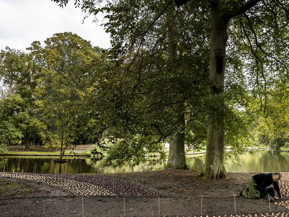 Bomen vergiftigen is moord