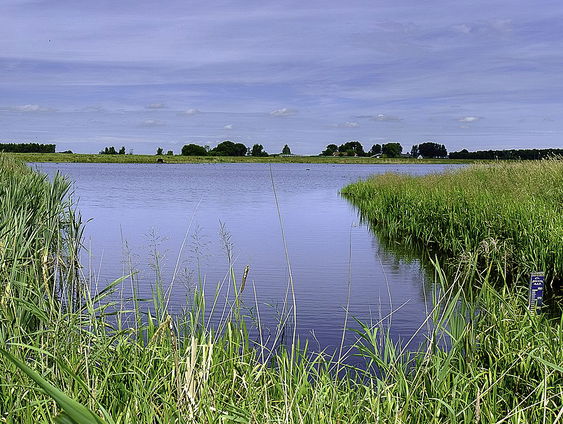 Vier nieuwe kunstwerken om natuur echt te ervaren