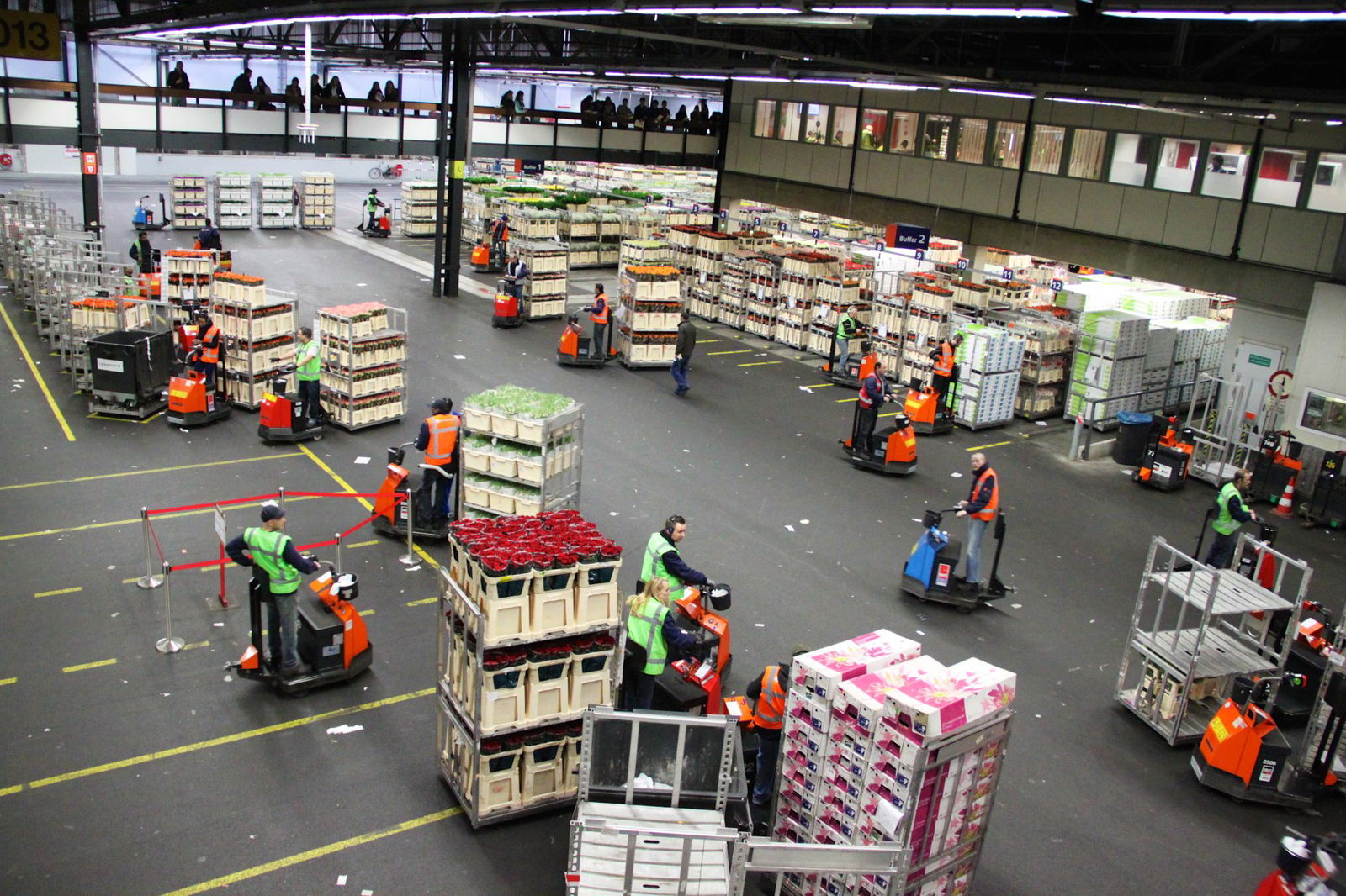 Het kat-en-muisspel rond cocaïne in Aalsmeer