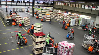 Het kat-en-muisspel rond cocaïne in Aalsmeer