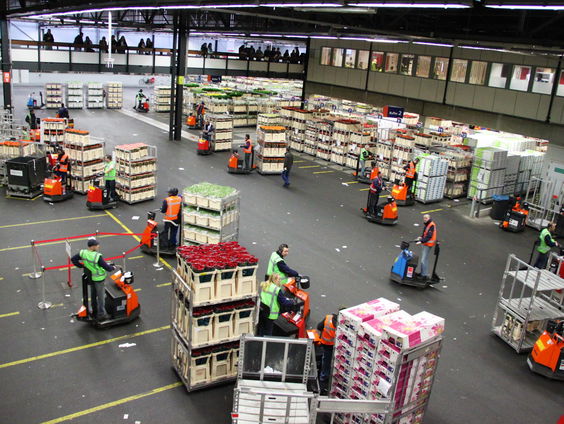 Het kat-en-muisspel rond cocaïne in Aalsmeer