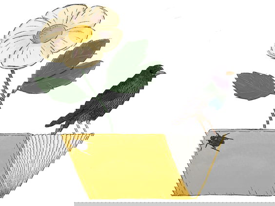 Deze boeken maken kans op de Natuurboekenprijs 2025