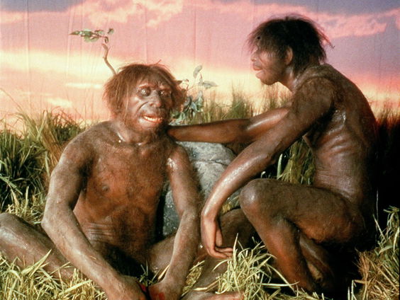 Het gezicht van de Europese ‘Homo erectus’