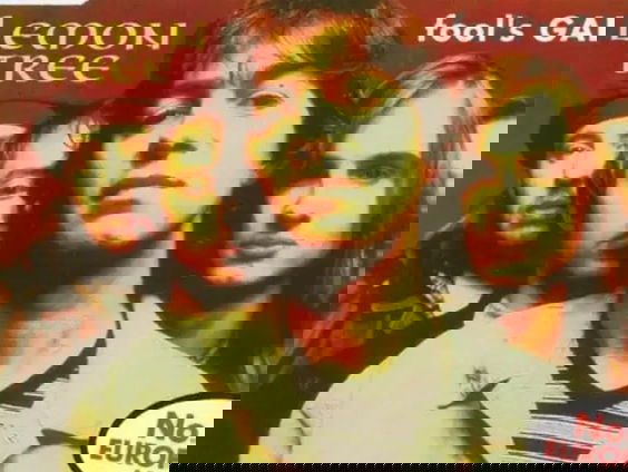 Bandje, besta je nog: Fools Garden