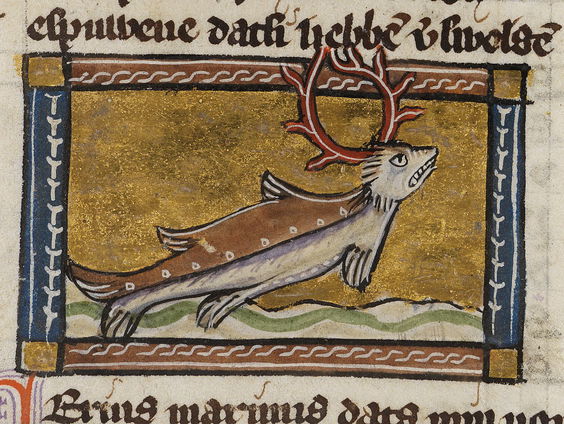 Middeleeuws manuscript als escaperoom