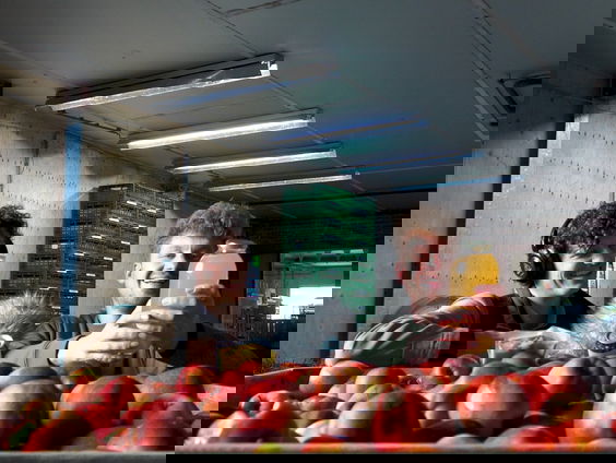 Initiatief tegen verspilling van de appeloogst