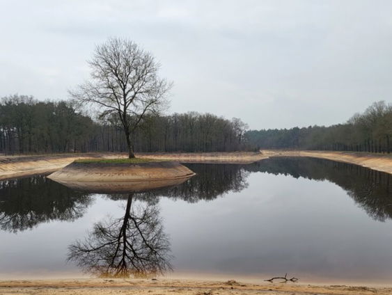Stuk van de A27 werd omgetoverd tot een prachtig natuurgebied