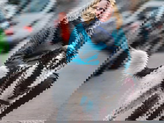 Bewustwordingscampagne Koninklijke Hondenbescherming: "Neem geen hond".