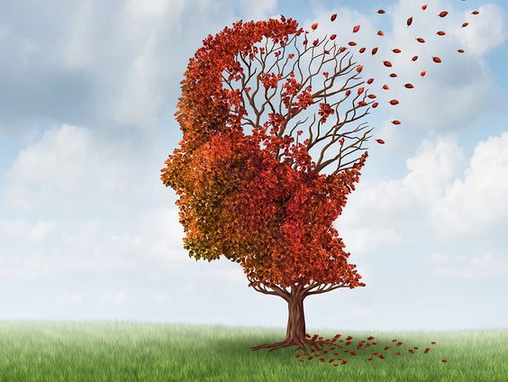 De maand van dementie: steeds meer initiatieven