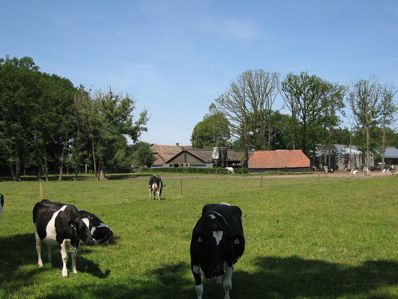 De nasleep van de misstanden in jeugddorp De Glind