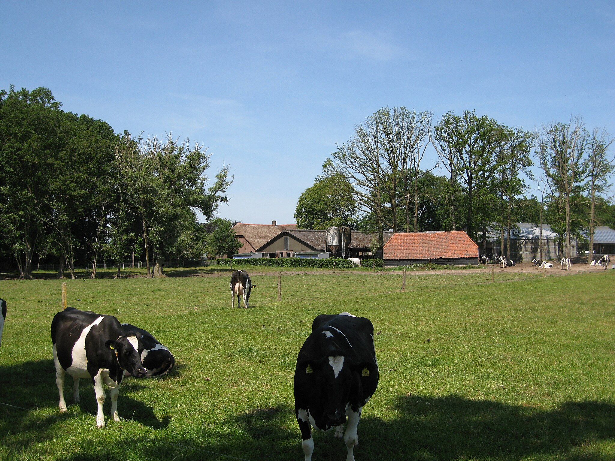 De nasleep van de misstanden in jeugddorp De Glind