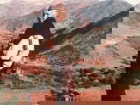 Bert Flint: een vreemdeling in de Medina