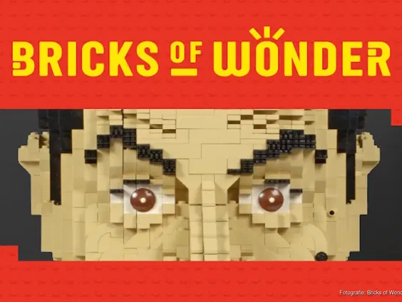 Dirk Denoyelle over 'Bricks Of Wonder'