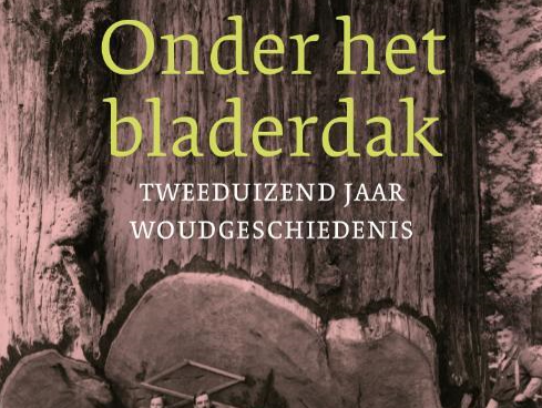 De cultuurgeschiedenis van het woud