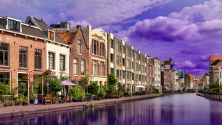 Pointer pop-up Schiedam