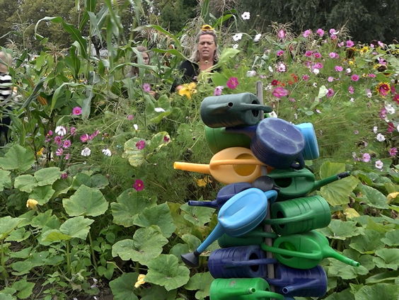 Interesse in schooltuinen groeit