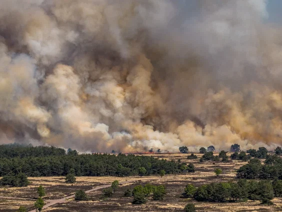 De natuurwaarde van defensieterreinen