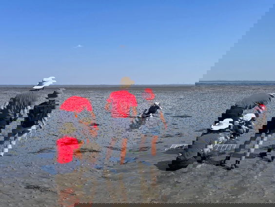 De Sea Rangers willen meer zeegras, maar hoe?