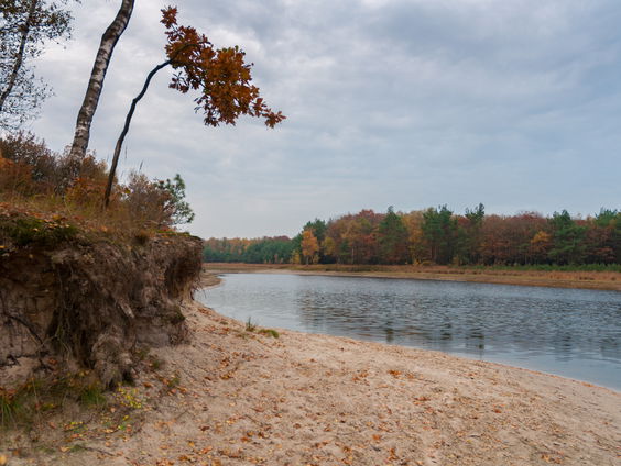 Bijna nergens is de strijd tussen natuur en stikstof zo groot als in Barneveld