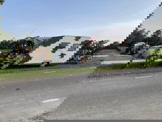 Met omgebouwde wagen en twee fjorden trekken Toon en Carina door het land