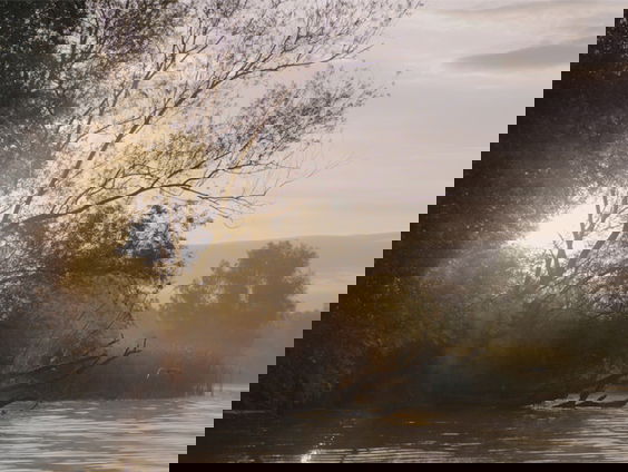 Mens staat centraal op natuurfilmfestival