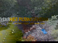 Wat leeft er op een groen schoolplein?