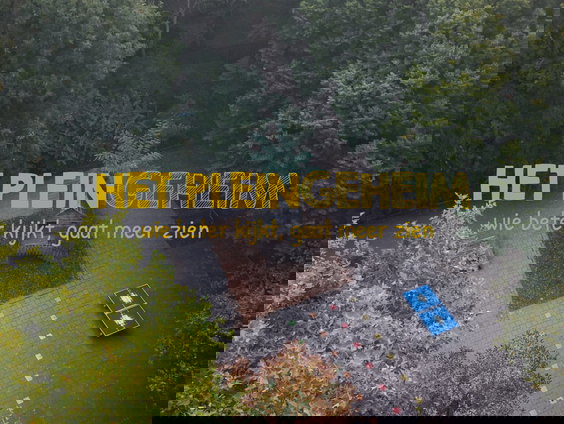 Wat leeft er op een groen schoolplein?