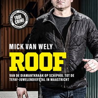 Mick Van Wely over zijn nieuwe boek 'Roof'