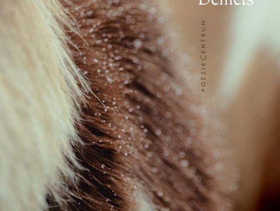 De Grote Poëzieprijs - Paul Demets