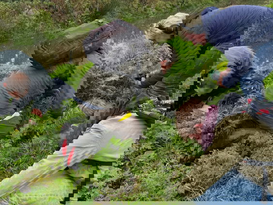 Festival speciaal voor de noordse woelmuis