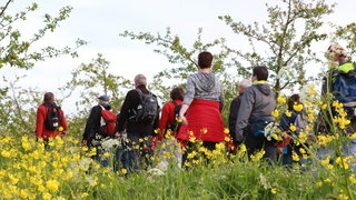 De Betuwse Bloesemtocht is na zeven jaar terug