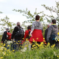 De Betuwse Bloesemtocht is na zeven jaar terug
