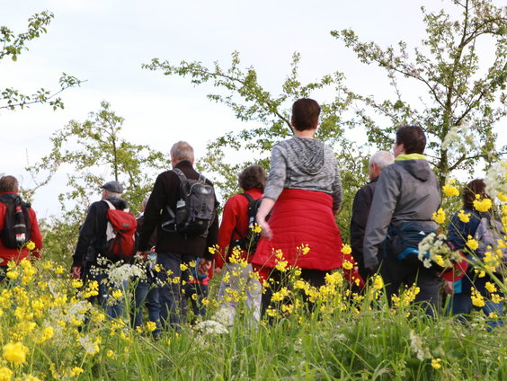De Betuwse Bloesemtocht is na zeven jaar terug