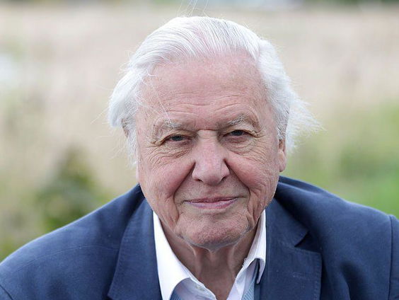 Ocean is de kers op de Attenburough-taart