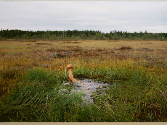 Museumtip: 'Noordelijk licht: natuurfotografie'
