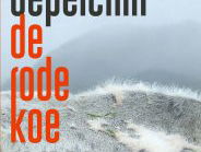 Het gesprek - Hans Depelchin