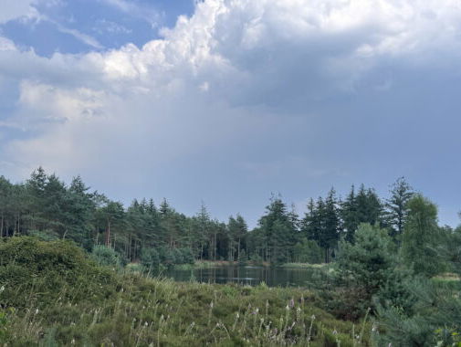 'Nederland wordt steeds vaker een droogteland'