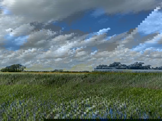 Zet 'De Dulf' niet onder water!