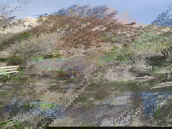 Observaties van een theaterrat