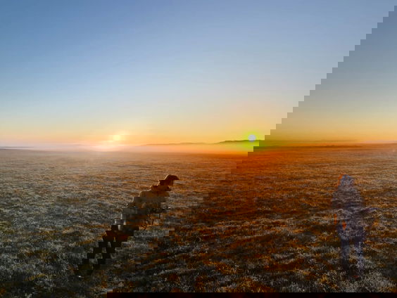 Vroege vogelzang op een eiland | Nationaal Vogelconcert #5