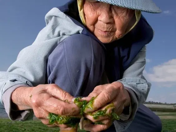 Bella van der Linden (81) wil van Leidsche Rijn een 'Blue Zone' maken