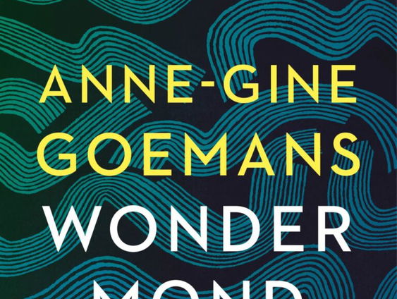 Het gesprek - Anne-Gine Goemans