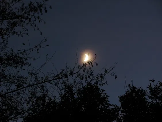 kletsen met je knuffel