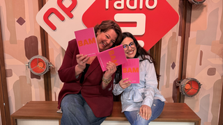 "Hoe ga je met je leven om als alles 'BAM' op de kop staat": Annemiek over ...